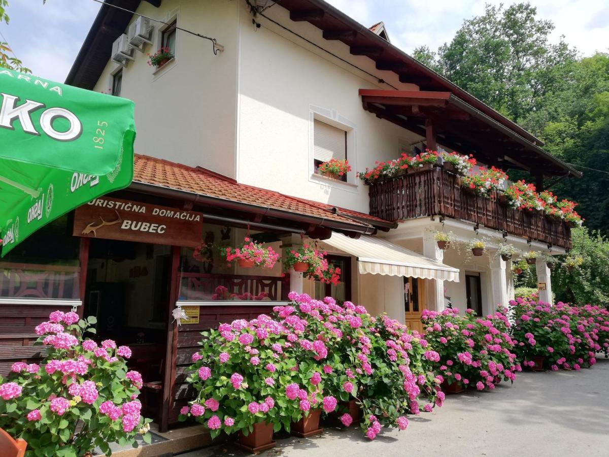 Domacija Bubec Villa Ilirska Bistrica Exterior photo